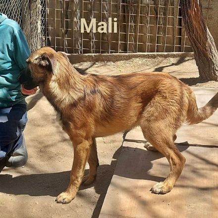 George und Mali, freundlich und menschenbezogen