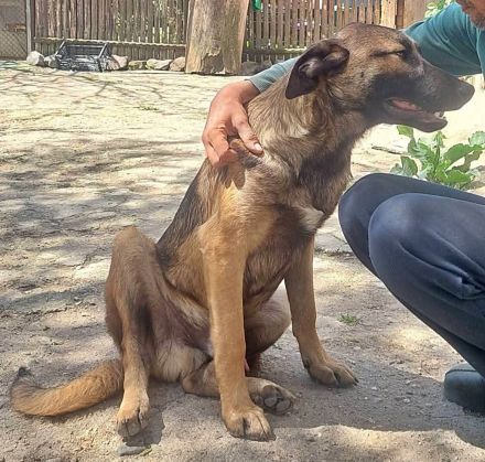 George und Mali, freundlich und menschenbezogen
