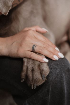 Pawlitytime Hundeschule Hamburg