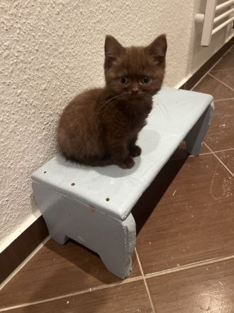 prinzessin sucht Dosenöffner