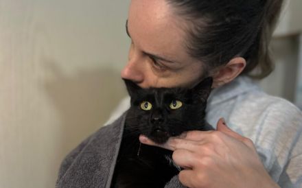 Scheue Katzendame Shailin sucht geduldiges Zuhause