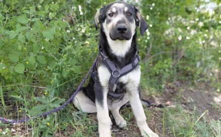 Unsere Schönheit Marylou