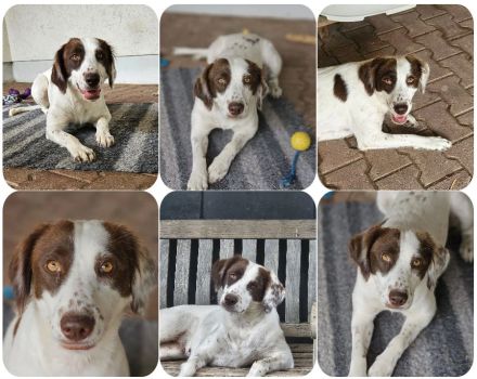Snow White – liebevolle Mama