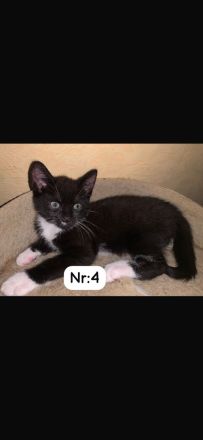 Wir dürfen ausziehen (11 Wochen)