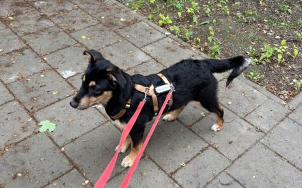 Lieke sucht aktive, liebevolle Menschen
