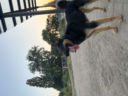 Akari sucht liebevolle und erfahrene Menschen✨