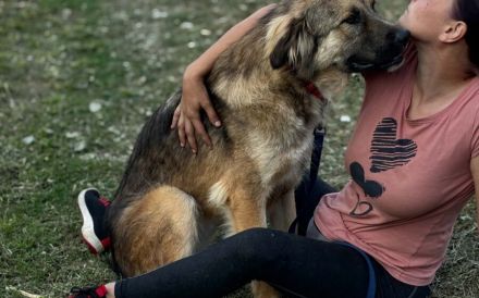 Freundliche und soziale Agatha sucht Zuhause