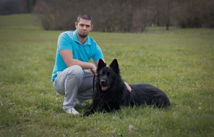 Tierphysiotherapie Leif Atkins - Mobile Physiotherapie für Hunde und Pferde
