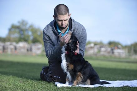 Tierphysiotherapie Leif Atkins - Mobile Physiotherapie für Hunde und Pferde