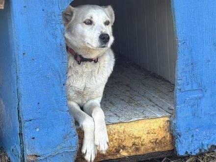 Ruhe und Liebe gesucht: Karolina, vorsichtig und lieb, sucht sicheren Hafen