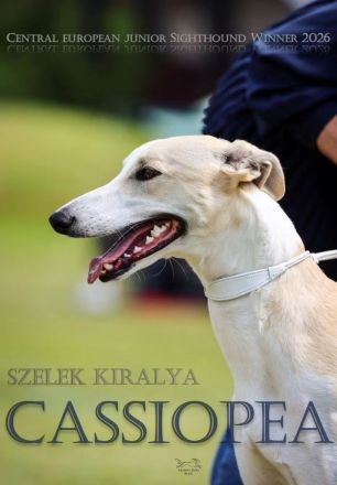 Szelek Kiralya - König der Winde