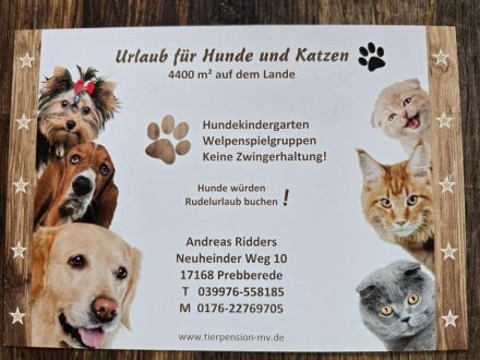 Tierpension Prebberede  Ländlich in der Nähe von Rostock