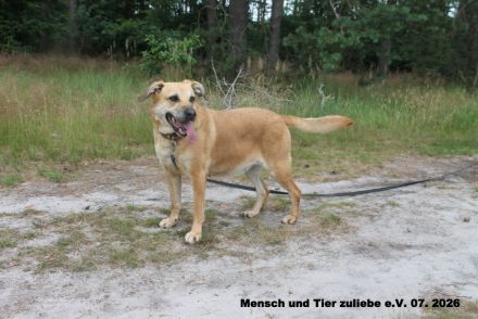 Maja, Energie und Liebe