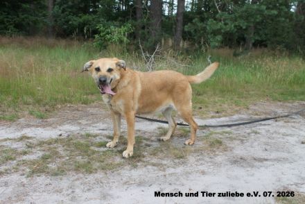 Maja, Energie und Liebe