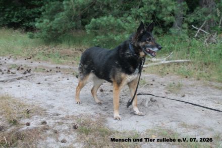 Sonja braucht Sicherheit