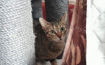 Frida möchte dein Leben bereichern!