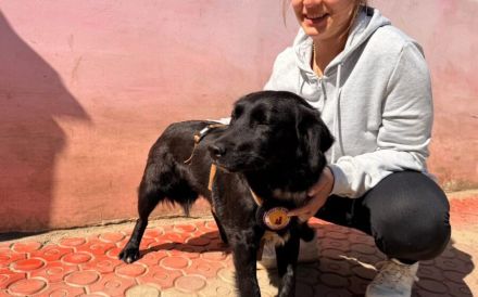 Zuhause gesucht für Paulina