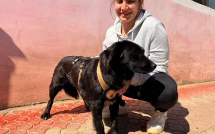 Zuhause gesucht für Paulina