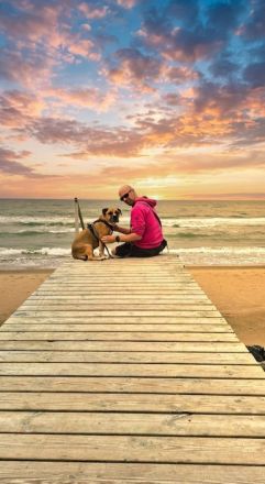Mobile Hundeschule Ammersbek – Professionelles & faires Hundetraining