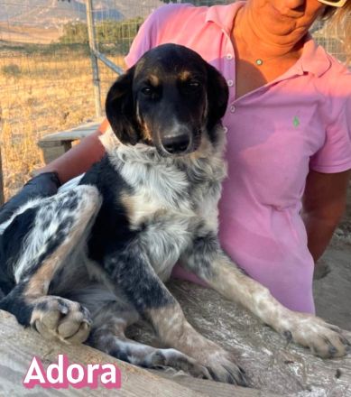 Aaron, Adora, 03/26 - warten auf eine Zukunft