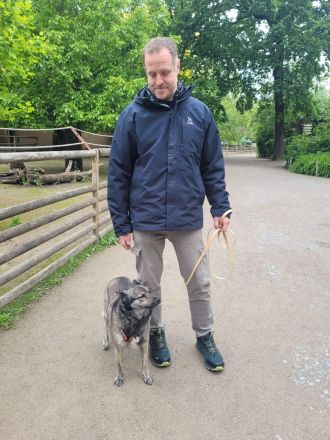 Angsthund Trainer Björn Petri