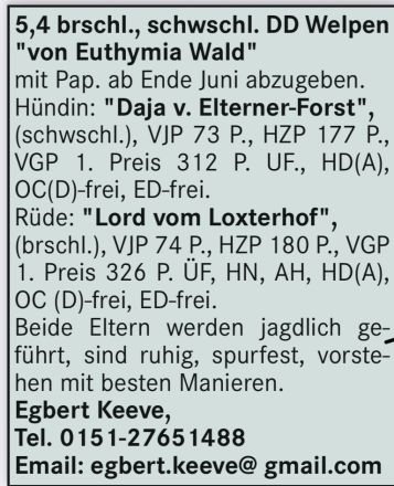 Deutsch Drahthaar Welpen braunschimmel 12 Wochen