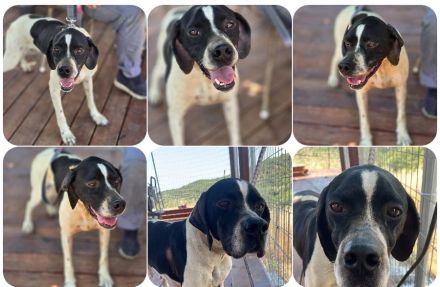 Lilly – bewegungsfreudig, sensibel und aufmerksam