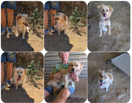 Freddy – kleiner Kokoni auf der Suche nach einem Neuanfang