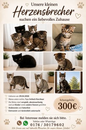 Unsere Babybande möchte weiterziehen