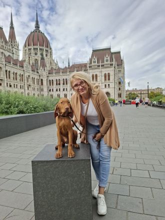 Magyar Vizsla Welpen mit Ahnentafel