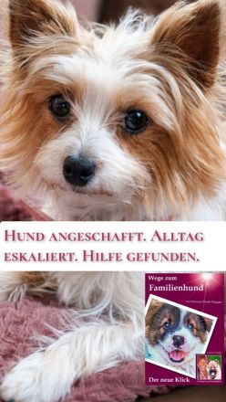 Hundeerziehung leicht gemacht: Verstehen, statt nur trainieren! Das Buch rund um den Hund