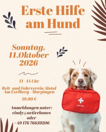 Erste Hilfe am Hund