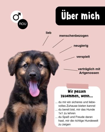 MOGLI - zeigst du mir die Welt?