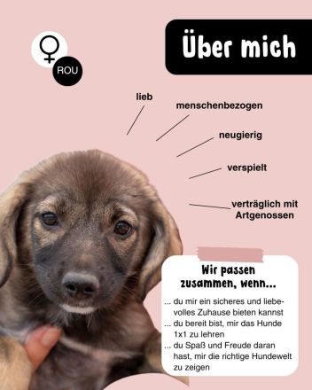 Wir möchten die Welt entdecken!