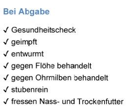 5 Samtpfoten suchen ein „Für-immer-Zuhause“