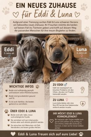 Eddi und Luna