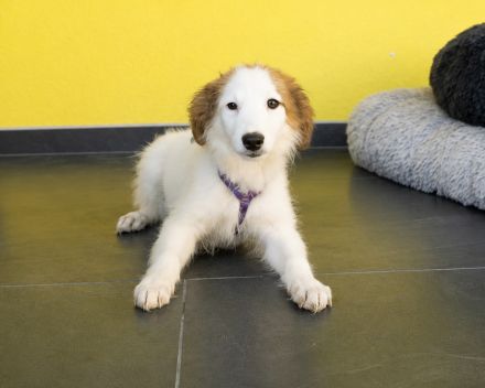 Aleika unsere kleine Schönheit..