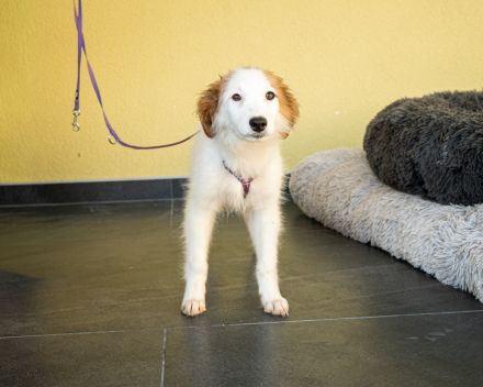 Aleika unsere kleine Schönheit..
