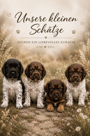 4 kleine Mäuse suchen ein zuhause