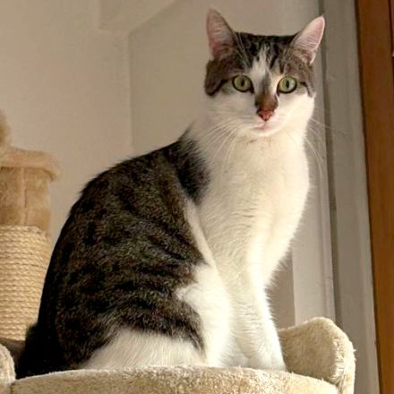 Luna und Polly – werden gemeinsam vermittelt
