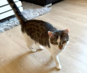 Luna und Polly – werden gemeinsam vermittelt