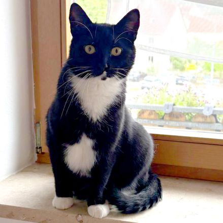 Luna und Polly – werden gemeinsam vermittelt