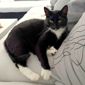 Luna und Polly – werden gemeinsam vermittelt
