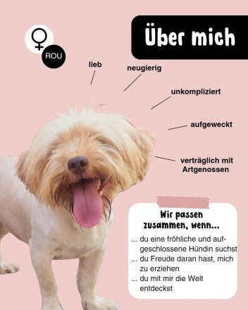 NANNI - endlich frei!