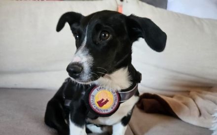 Prinzessin Poppy wartet auf dich!