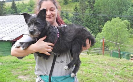 Zuhause gesucht für Belinda