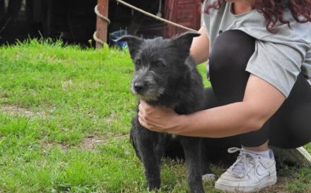 Zuhause gesucht für Belinda