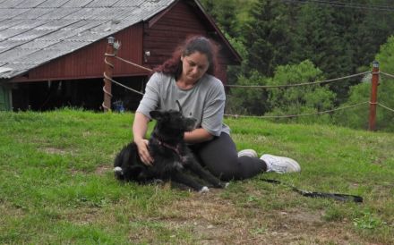 Zuhause gesucht für Belinda