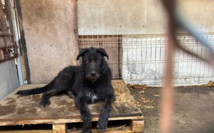 Togo: Sensibles Herz wartet auf Eroberung!