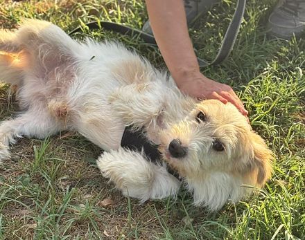 Sancho, lieb und nett